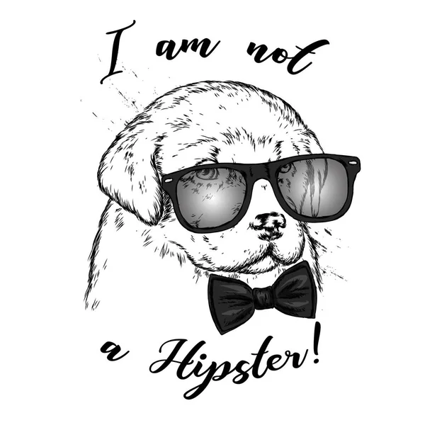 Portret Van Een Hond Puppy Met Glazen Stropdas Vector Illustratie — Stockvector