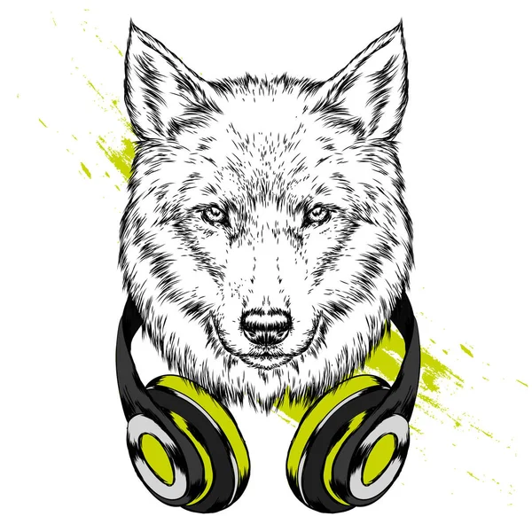 Loup Hipster Dans Casque Joli Chien Illustration Vectorielle Pour Carte — Image vectorielle