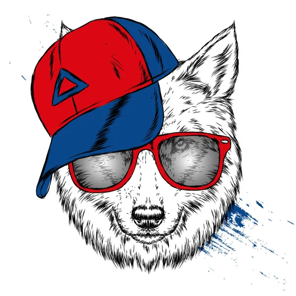 Wolf Hipster Mit Mütze Und Brille Hübscher Hund Vektor Illustration — Stockvektor