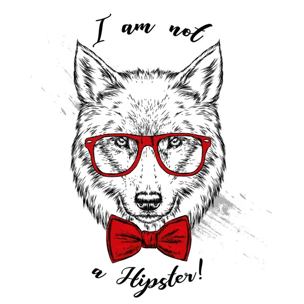 Güzel Kurt Köpek Ile Gözlük Kravat Kartpostal Elbiselere Yazdırma Için — Stok Vektör