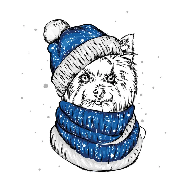 Der Welpe Der Weihnachtsmütze Santa Claus Hund Neujahr Und Weihnachten — Stockvektor