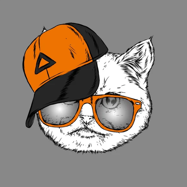 Chat Dans Une Casquette Des Lunettes Hipster Illustration Vectorielle Dessinée — Image vectorielle