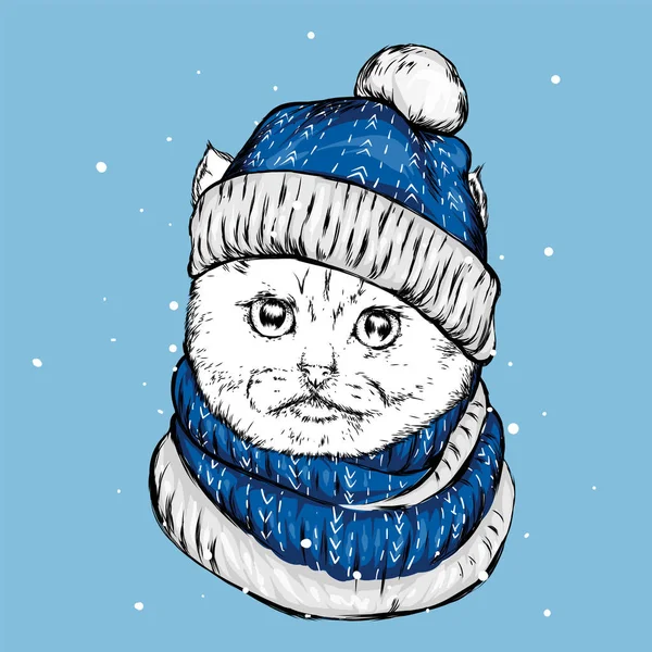 Komik Kedi Bir Noel Şapka Atkı Vektör Çizim Kartı Veya — Stok Vektör