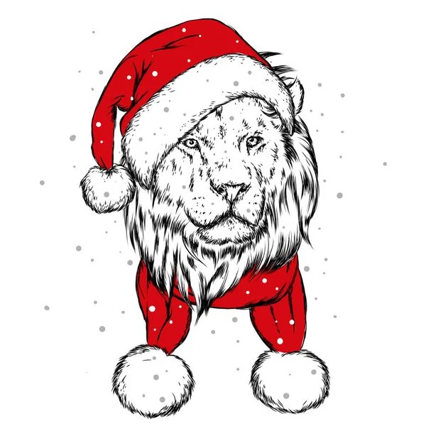 Güzel Aslan Bir Kış Şapka Atkı Yılbaşı Yeniyıl Noel Baba — Stok Vektör