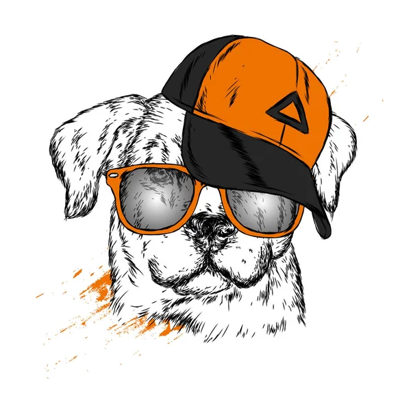 Lindo Perro Gorra Gafas Ilustración Vectorial — Vector de stock