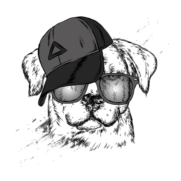 모자와 안경에 귀여운 강아지입니다 일러스트 — 스톡 벡터