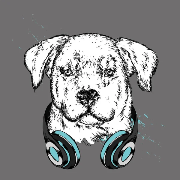 Perro Con Auriculares Cachorro Gracioso Ilustración Vectorial Para Tarjeta Felicitación — Vector de stock