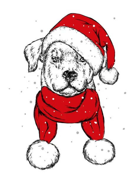 Noel şapka içinde belgili tanımlık köpek yavrusu. Noel Baba köpek. Yılbaşı ve Yeniyıl, kış tatili. Vektör çizim kartpostal veya giysi üzerine baskı için.