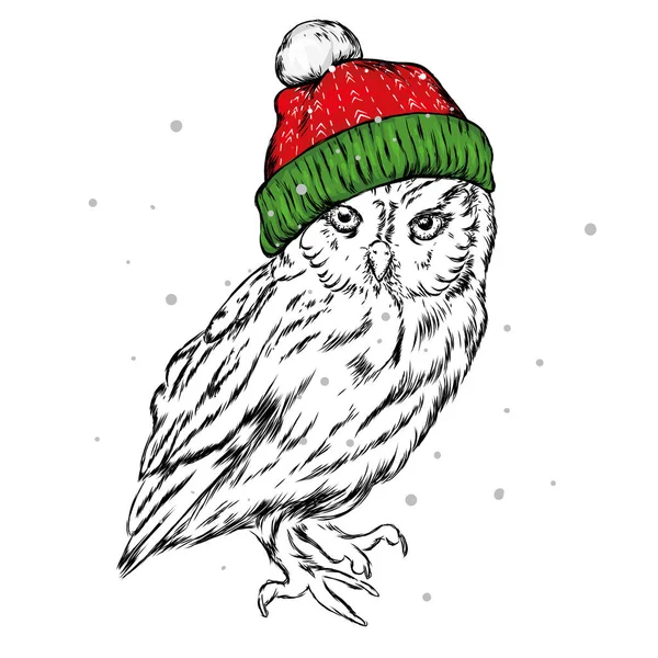 Das Weihnachtsposter Mit Der Bildeule Weihnachtshut Vektorillustration Hipster Vogel Hatte — Stockvektor