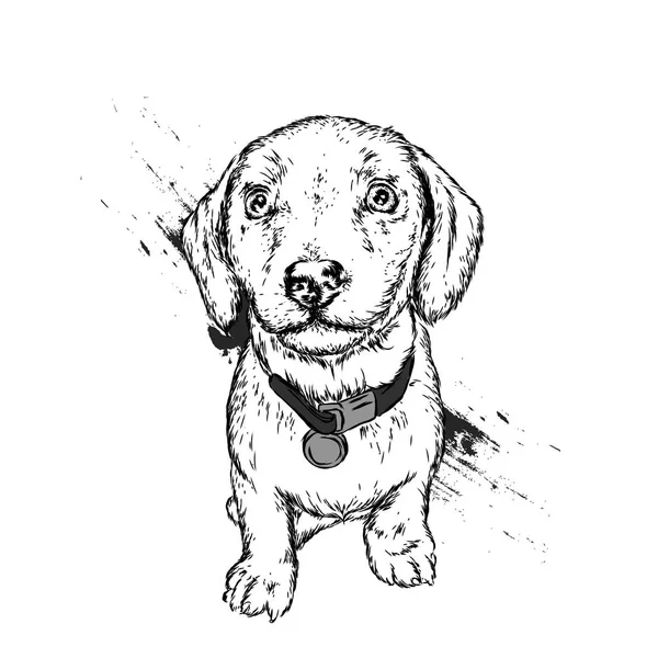 Retrato Perro Cachorro Ilustración Vectorial Para Tarjeta Felicitación Póster Impresión — Vector de stock