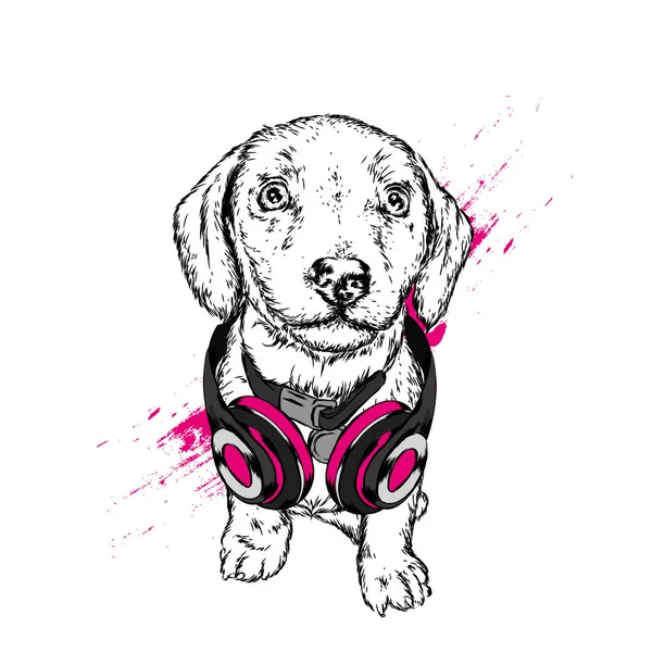 Perro Con Auriculares Cachorro Gracioso Ilustración Vectorial Para Tarjeta Felicitación — Vector de stock