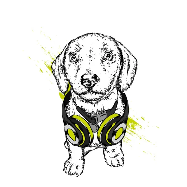 Hund Mit Kopfhörer Lustiger Welpe Vektor Illustration Für Grußkarte Oder — Stockvektor