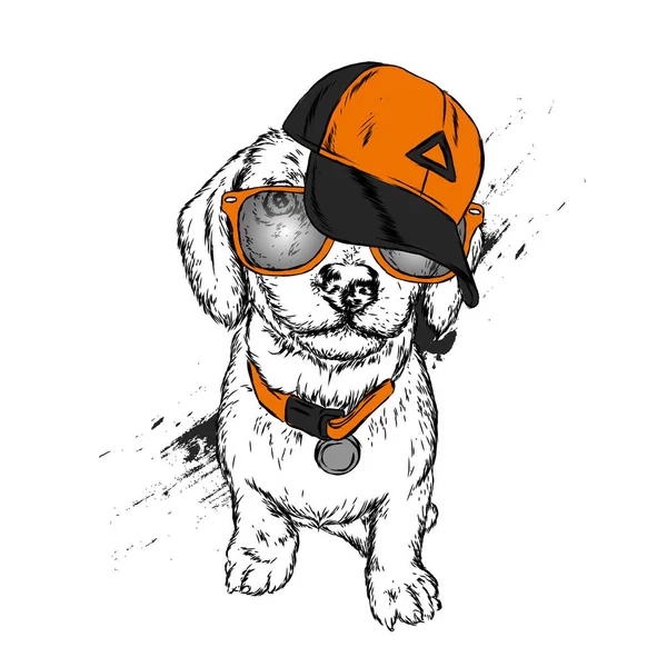 Anjing Lucu Dengan Topi Dan Kacamata Ilustrasi Vektor - Stok Vektor