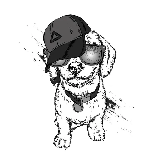 Sevimli köpek kap ve gözlük. Vektör çizim.