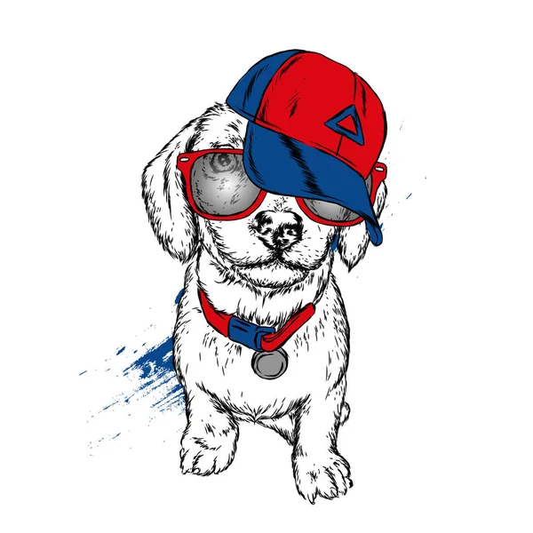 Anjing Lucu Dengan Topi Dan Kacamata Ilustrasi Vektor - Stok Vektor