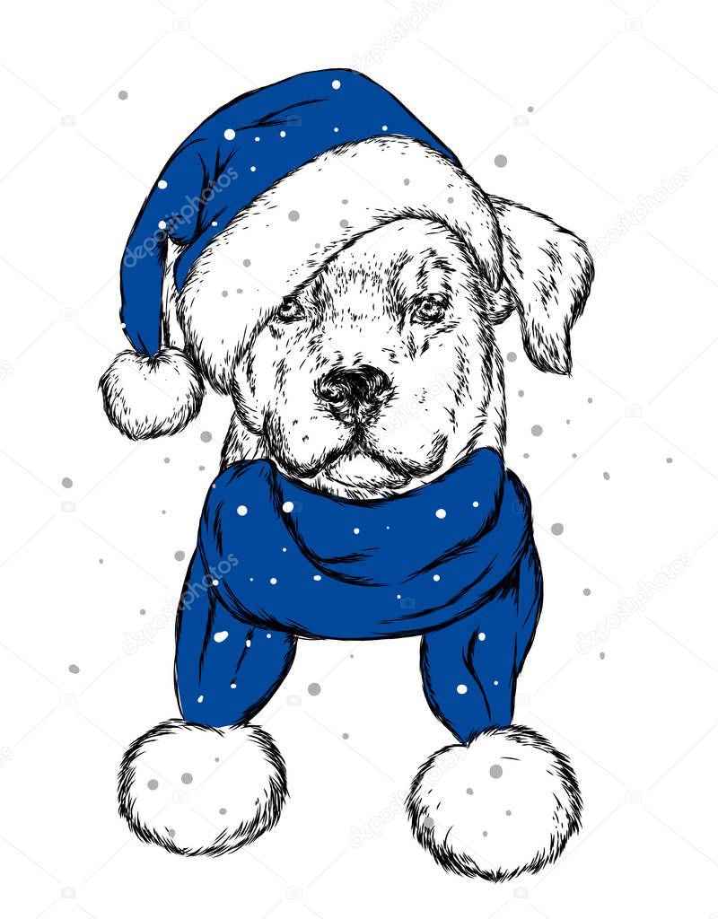 The puppy  in the Christmas hat. Santa Claus dog. New Year and Christmas, winter holidays. Vector illustration for postcard, or print on clothes.