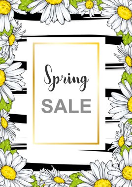 Satılık el ilanı arka plan güzel çiçekli bahar. Vektör çizim. Papatya.