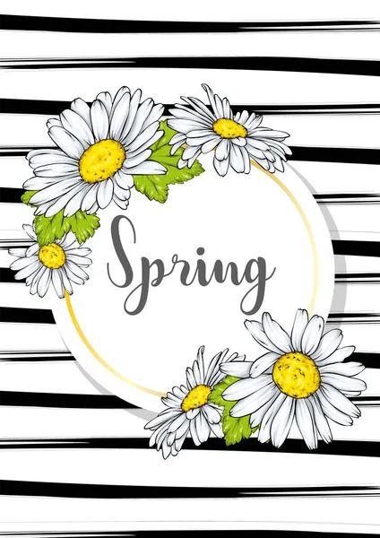 Spring Sale Flyer Background Beautiful Flower Vector Illustration Camomile — Stock Vector