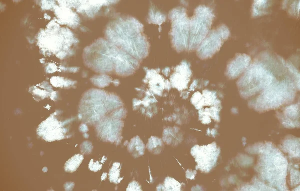 Boya desenli kravat. Mavi Sanatsal Kumaş. Grunge. 