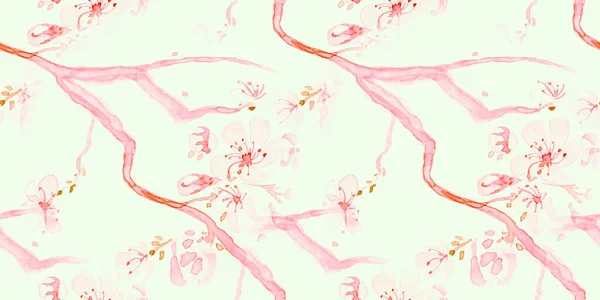 Třešňový květ akvarelu. Bezešvá růže — Stock fotografie