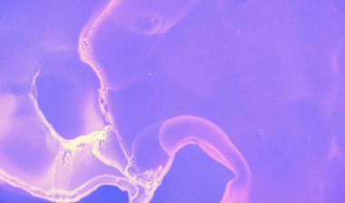 Soyut Akış Duvar Kağıdı. Mavi Çağdaş Modern 