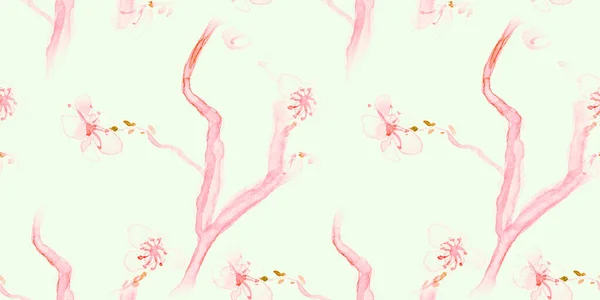 Acquerello Cherry Blossom. Sakura senza soluzione di continuità — Foto Stock