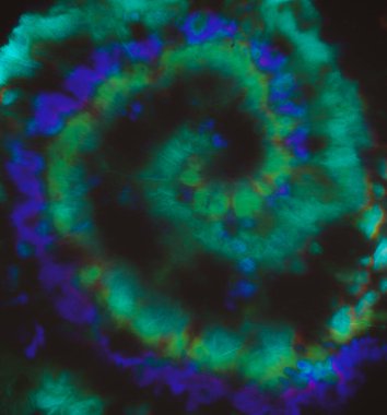 Psikedelik kravat boyası. Soyut Çember Dokusu. 