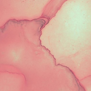 Alkol Mürekkebi Boyalı Seksi Sanatlar. Kırmızı 