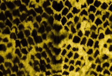 Suluboya Dökümlü Yılan DokusuName. 