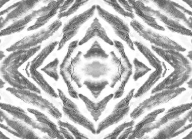 Suluboya Hayvan Zebra.