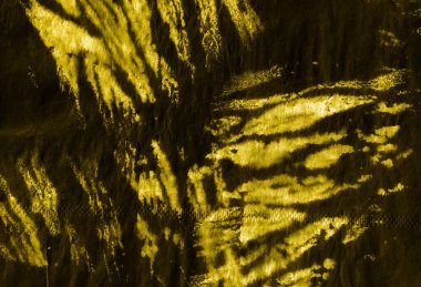 Suluboya Hayvan Zebra.