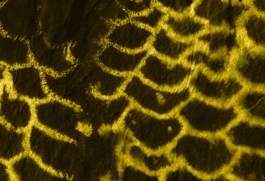 Suluboya Yırtıcı Deseni.