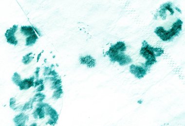 Suluboya Leopar Deseni.