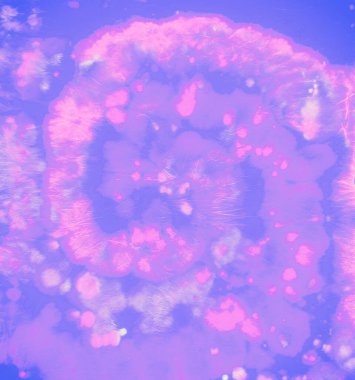 Soyut Dairesel Tasarım. Renkli tişört. Suluboya 