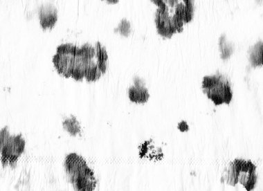 Suluboya Hayvan Yazdırma. 