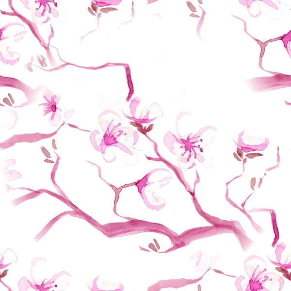 Akwarela Sakura. Różowy liść jabłka. Białe — Zdjęcie stockowe