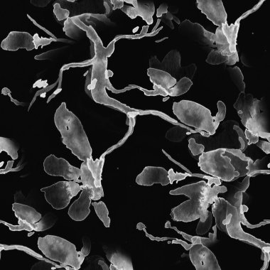 Sakura Suluboya. Gri Çiçek Yaprağı. Gri 