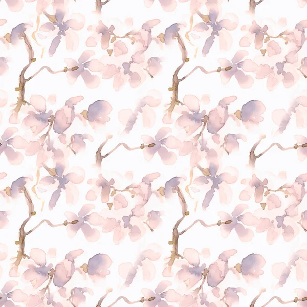 Aquarell Sakura Zeichnung. Weiße Blütenblume — Stockfoto