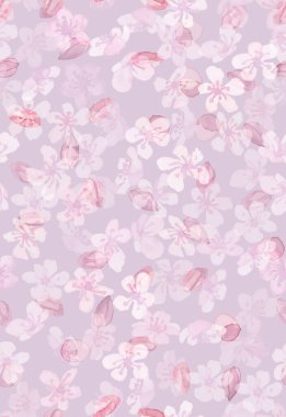 Beyaz Sakura Çiçeği. Suluboya Elma Çiçeği. 