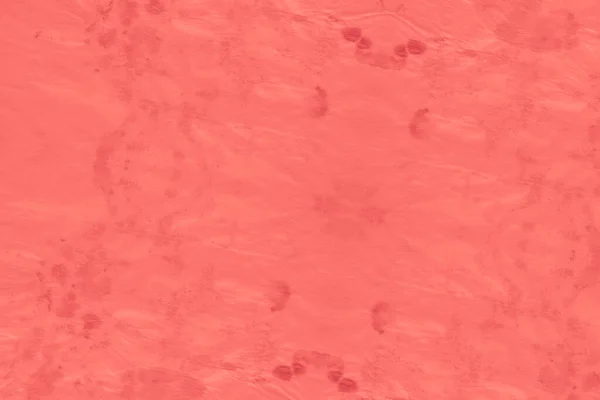 Levande Coral Batik Shibori Texture. Abstrakt — Stockfoto