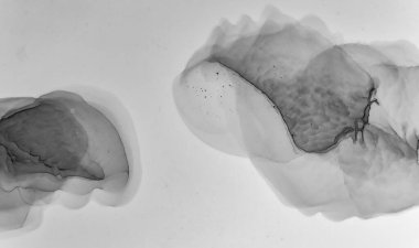 Gri Mermer Doku. Doğal Mimarlık. 