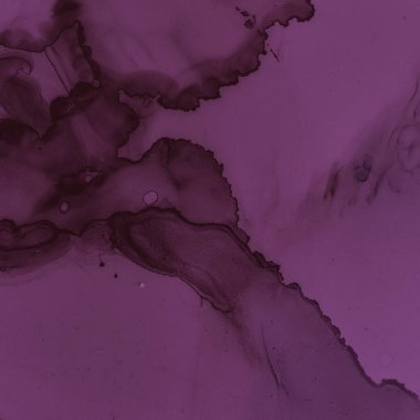 Burgundy Şarap İllüstrasyonu. Suluboya Şaraphane 