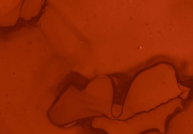 Kan sıçrama kırmızısı. Özet Valentine 