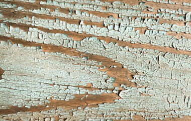 Mavi Çatlak Arkaplanı. Boya Ağacı Yapısı. 