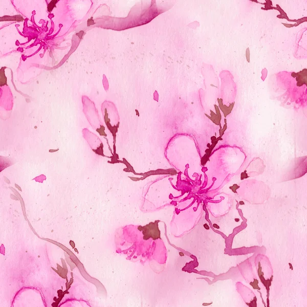 Acquerello Sakura. Fiore di Fiori Bianchi. Rosa — Foto Stock
