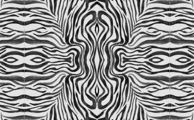 Kusursuz Zebra Hatları. Soyut Safari Tasarımı. 