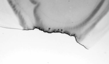 Gri Mermer Doku. Doğal Mimarlık. 