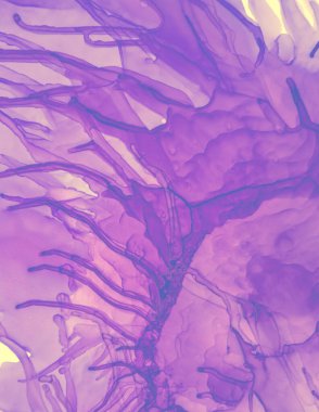 Düğün kartı tasarımı. Pembe Pastel Sıvı Sıvısı. 