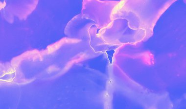 Grafik Mürekkep Gradyanı. Pembe Suluboya Dijital 