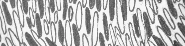Abstracte Mark Scribble. Overlay Grunge textuur. — Stockfoto